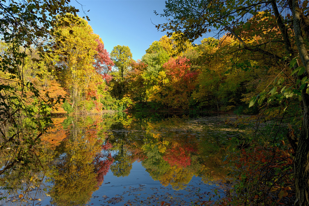 20221022_Iron Lake_Iron Lake_Stack9 Elliott Cobin Flickr