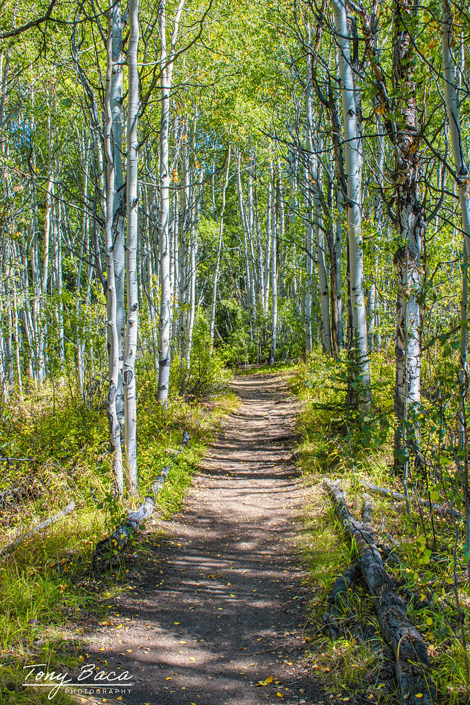 Interlaken Trail Interlaken Trail near Twin Lakes, CO Tony Baca