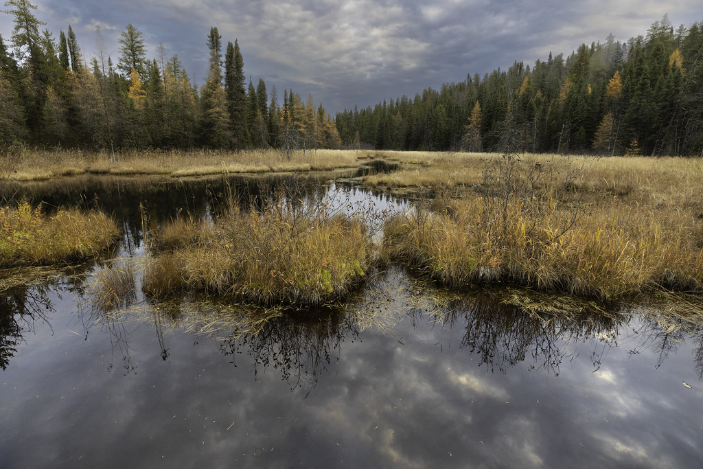 _W1A0665 Zec La Lièvre Céline Bellemare Flickr