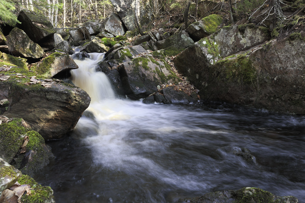 _W1A0760 Zec La Lièvre Céline Bellemare Flickr