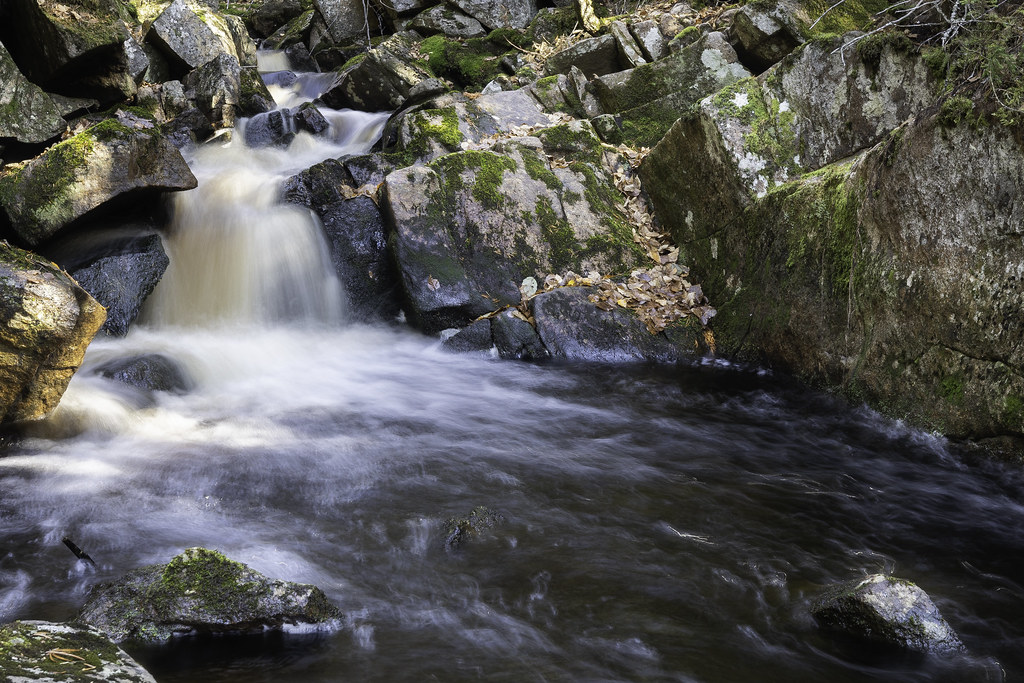 _W1A07482 Zec La Lièvre Céline Bellemare Flickr