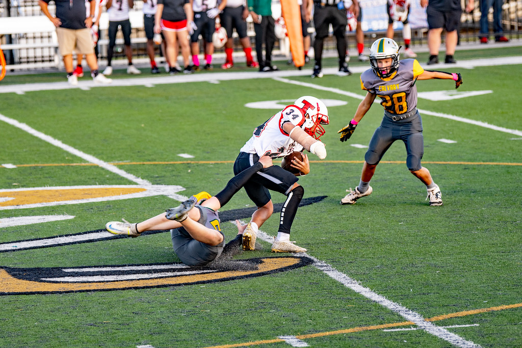 DSC_6231 Kelly Young Flickr