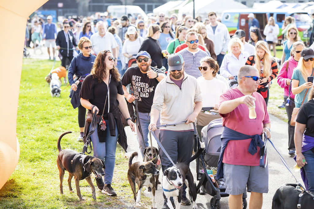 199 Potter League Flickr