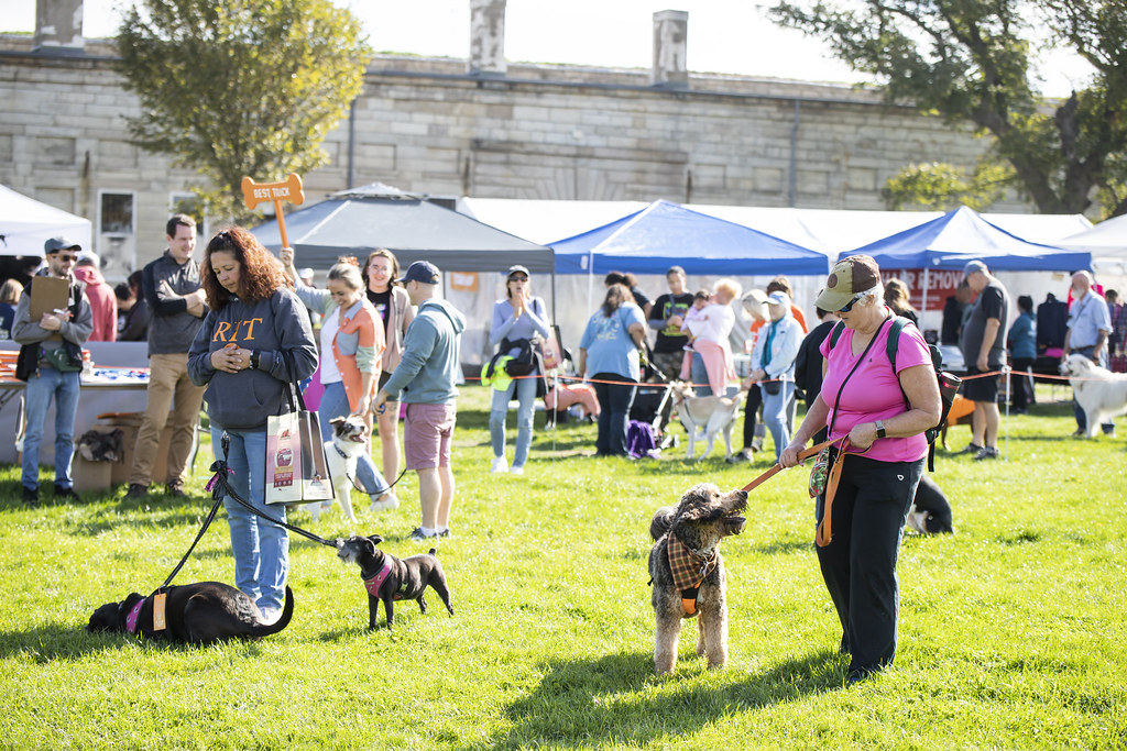 107 Potter League Flickr