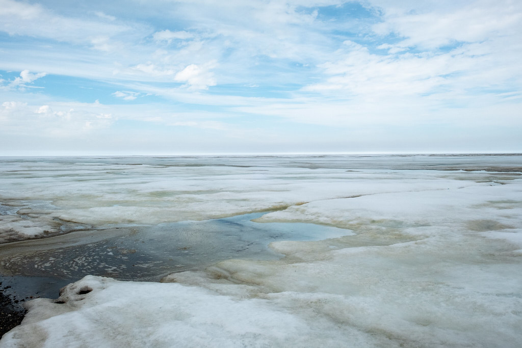 Arctic Ocean exploring, Deadhorse, AK, 6/17/22 Haley Kit Flickr