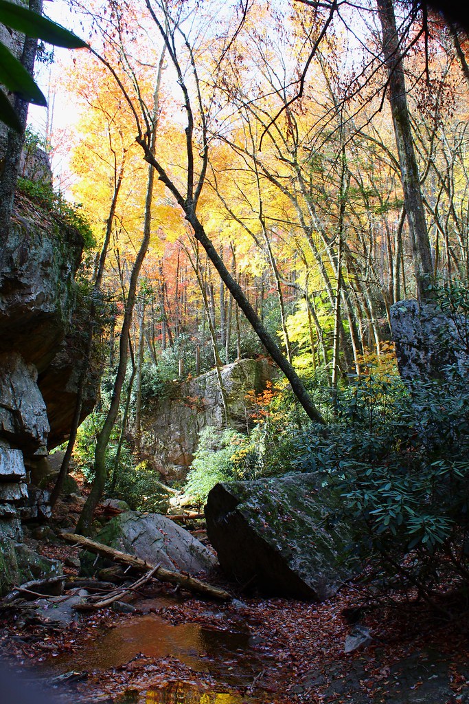 Blue Hole Falls and Roan Mountain Elizabethton, Tennessee Flickr