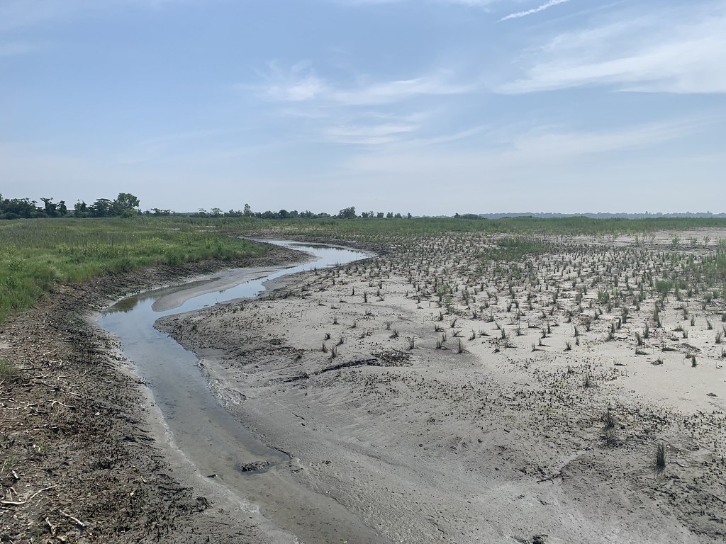Great Meadows Marsh StoryMap Flickr