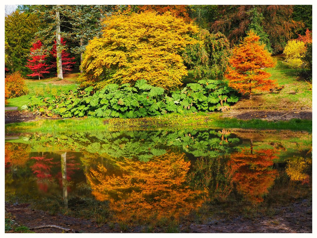 Autumn at the Morton Pond at Chatsworth Morton Pond was de… Flickr