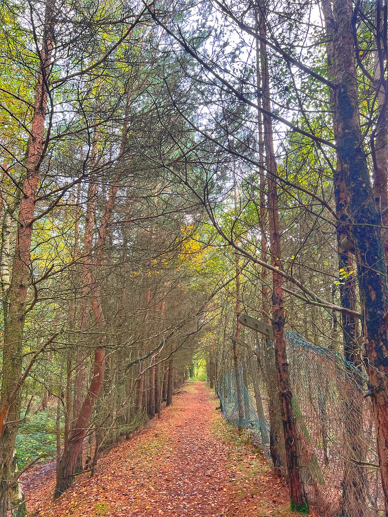 Cannock lake, Huntington Cannock lake, Huntington Flickr