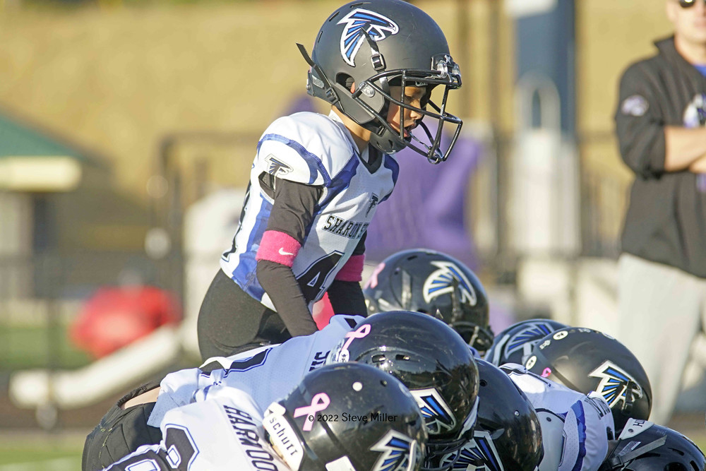 Sharon Springs Football Falcons Sharon Springs Football Flickr