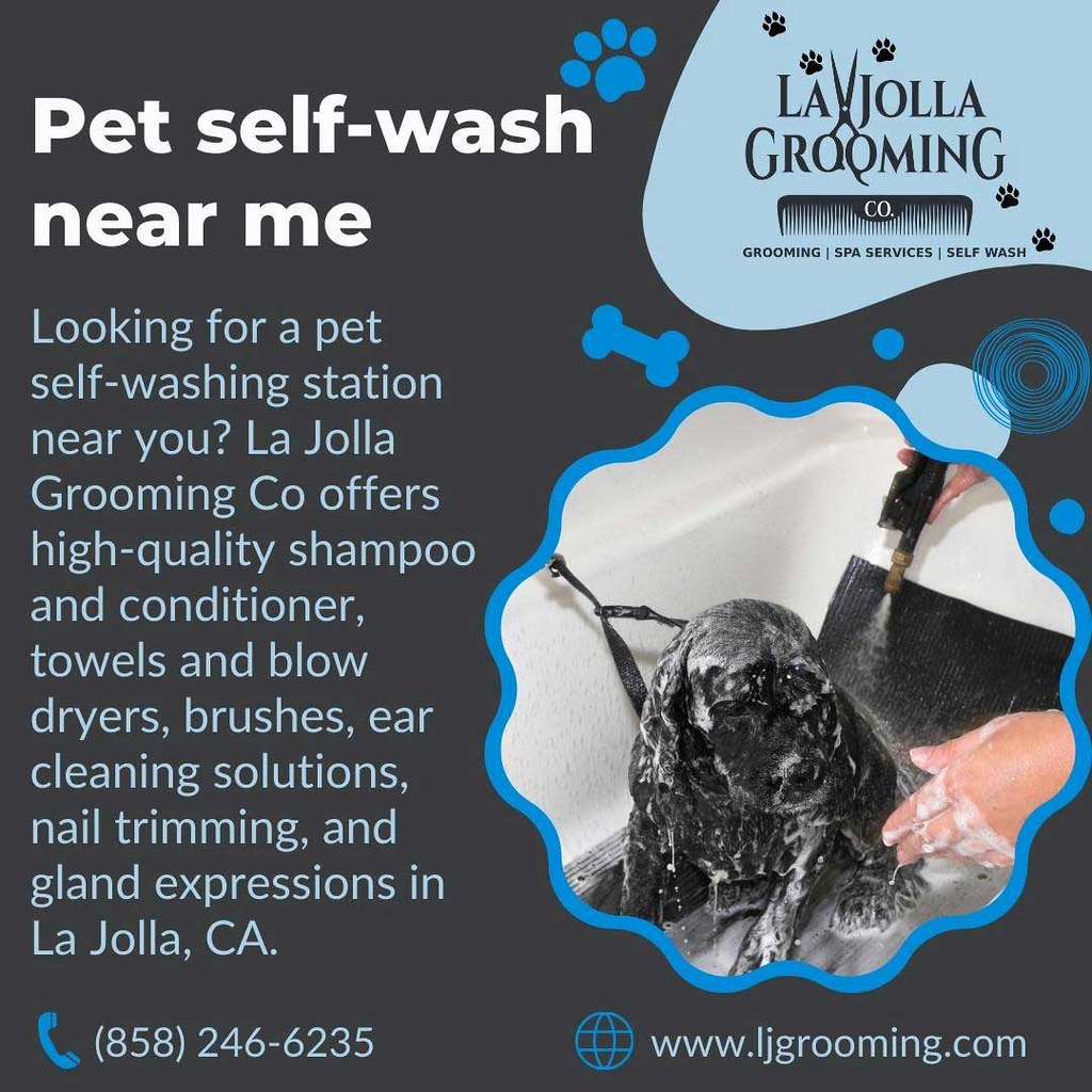 Pet self wash near me Looking for a pet selfwashing stati… Flickr