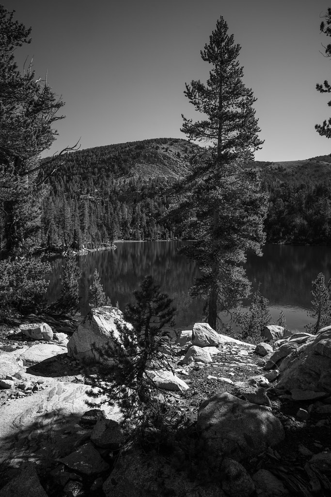 Horseshoe Lake Outlet This one literally turned me around,… Flickr