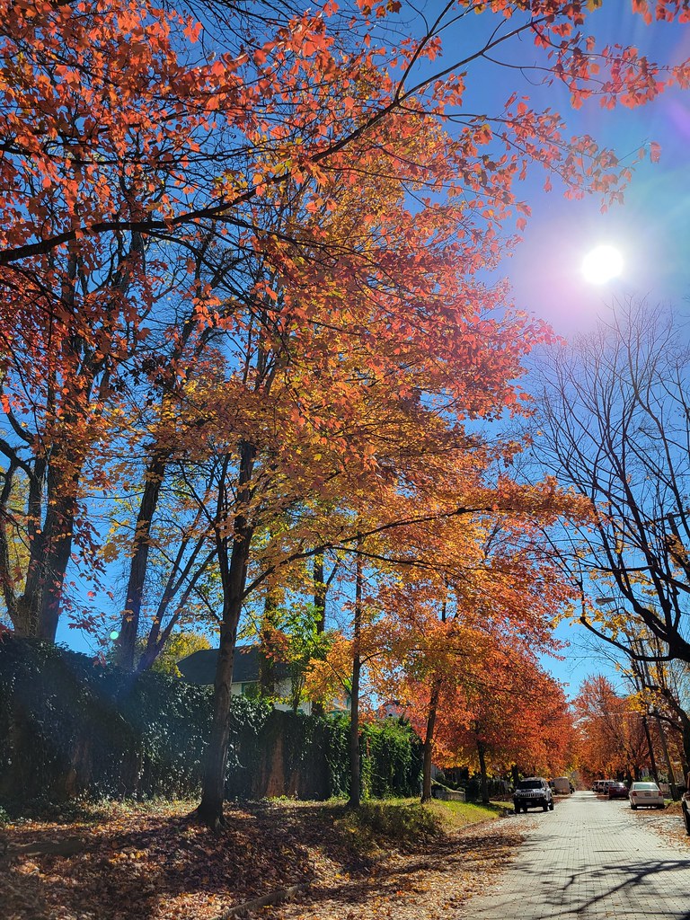 fall color in Garland Hill area of Lynchburg a photo on Flickriver