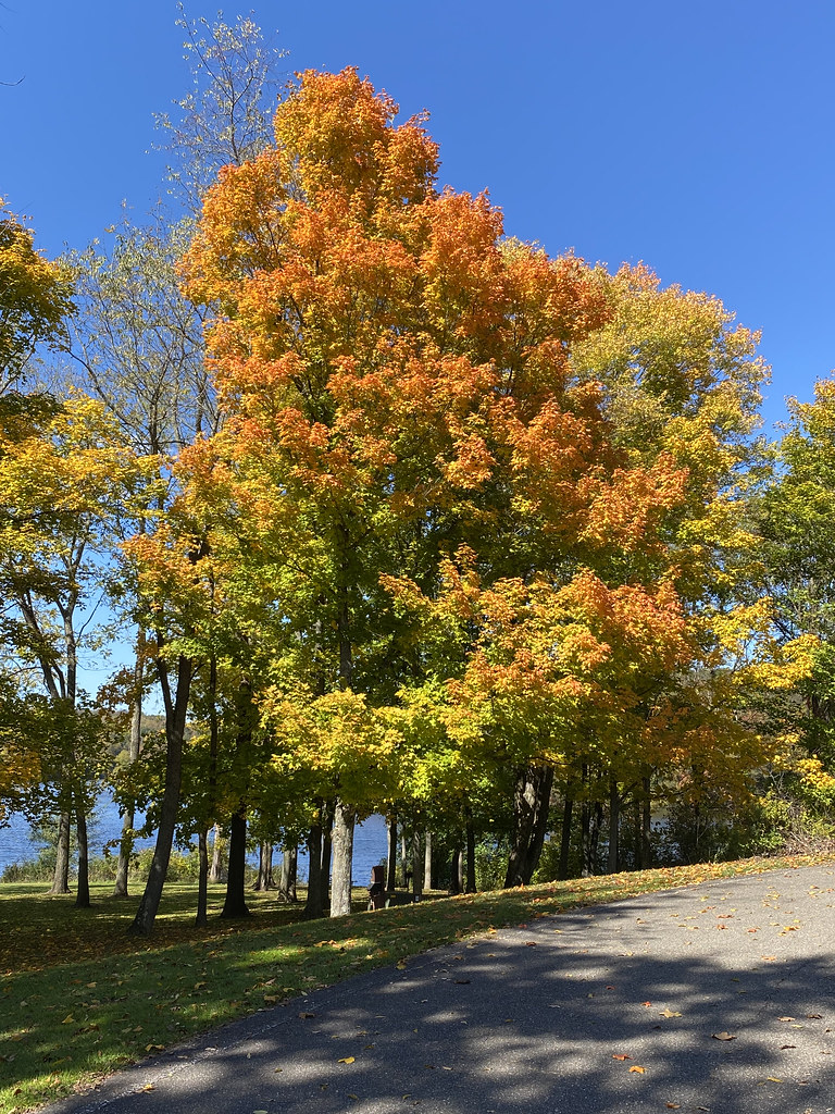 IMG_9203 Belmont County Flickr