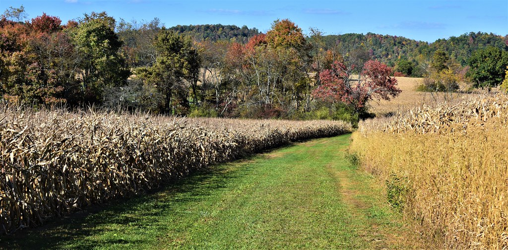 Rural Pennsylvania farming Armstrong County, PA Jim Hoover Flickr