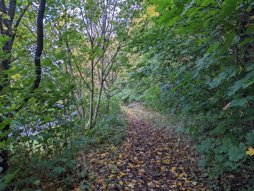 View of a path near Black Dam Way, Basingstoke (3) Flickr