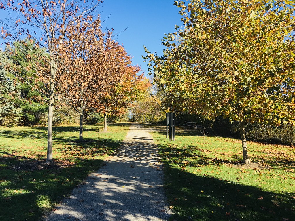 Arcola Creek Park Flickr