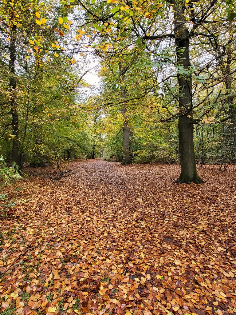 Penn Wood Park_10 Flickr