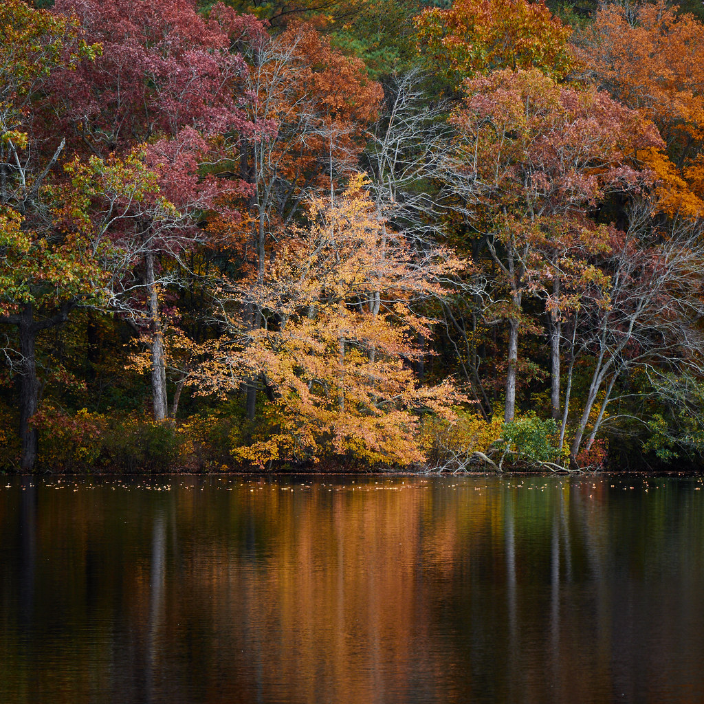 613A4501 Autumn at Blair's Pond, Delaware David Covarrubias Flickr