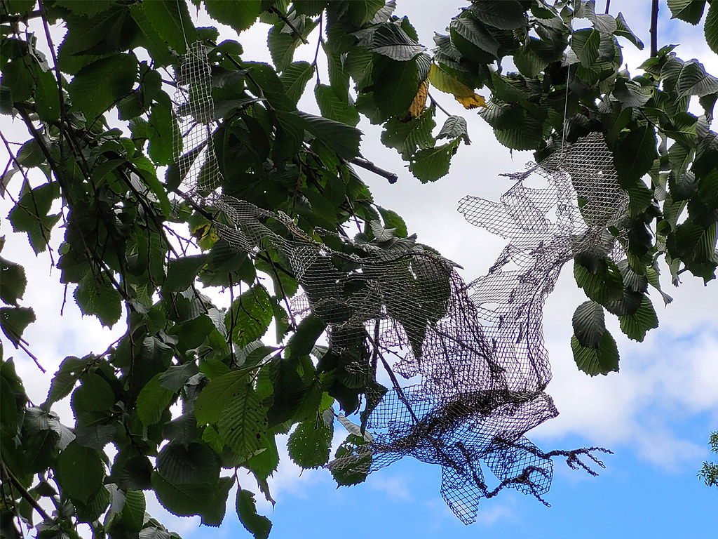 09 S. J. Woodhouse Flickr