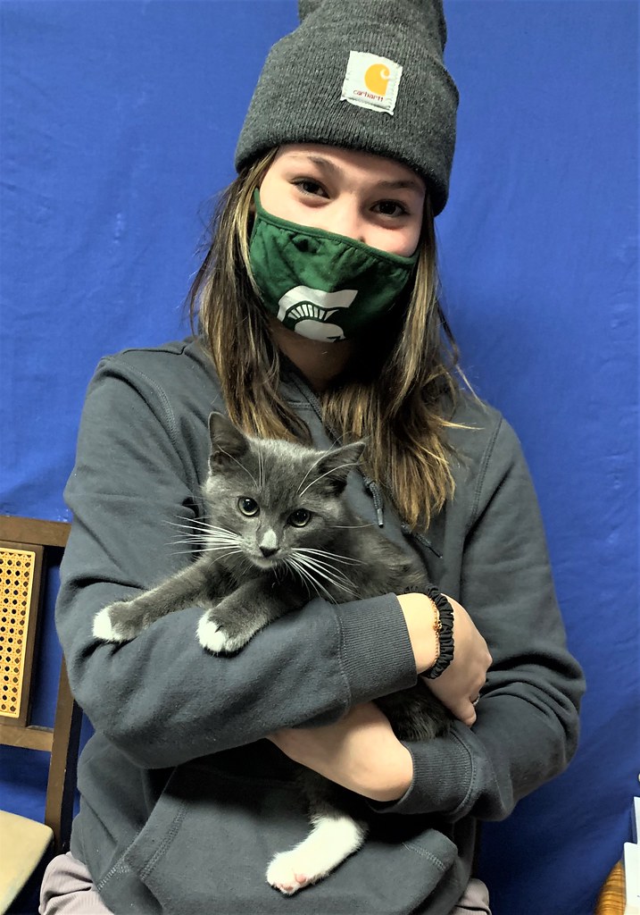 DzyngelGoose Road Animal Clinic Flickr