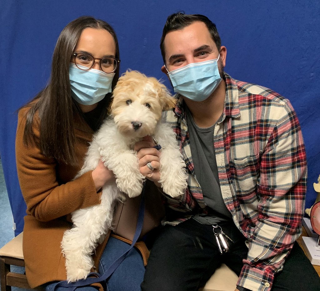 IzzoRiggs Road Animal Clinic Flickr