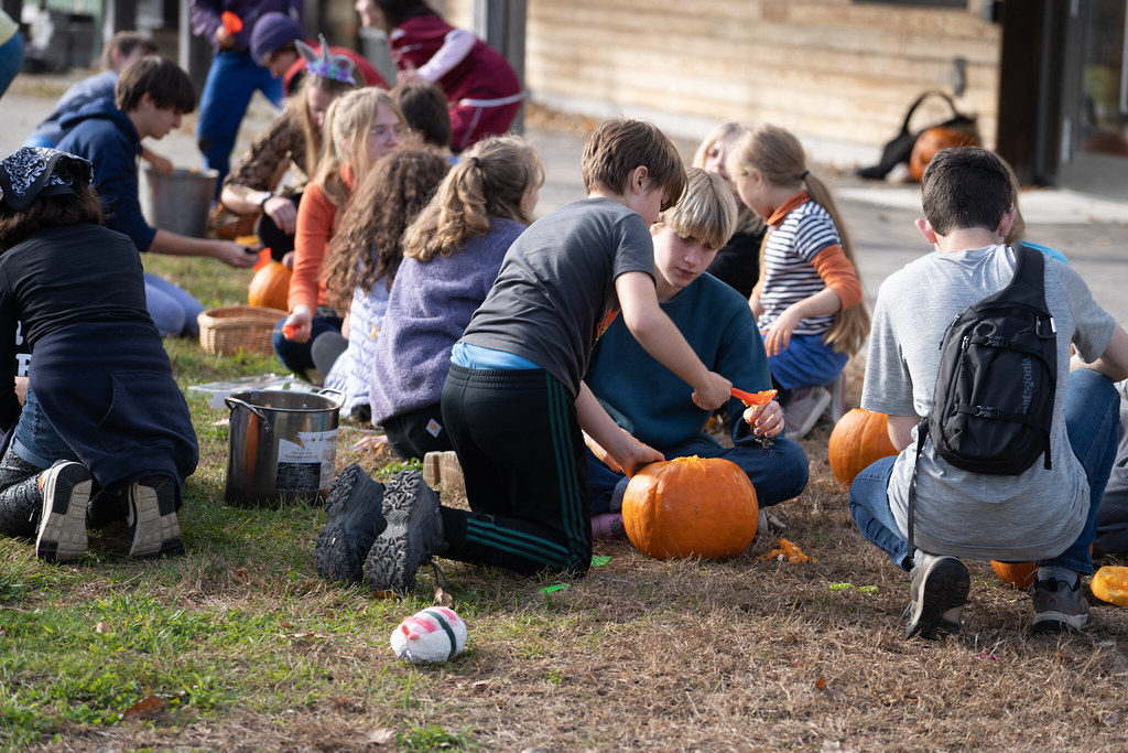 DSC08140 Maine Coast Waldorf School Flickr