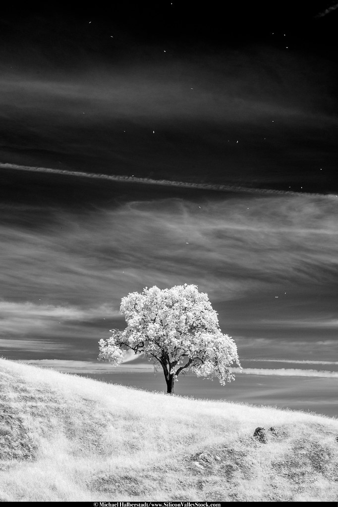 Sierra Vista Open Space Preserve Sierra Vista Open Space P… Flickr