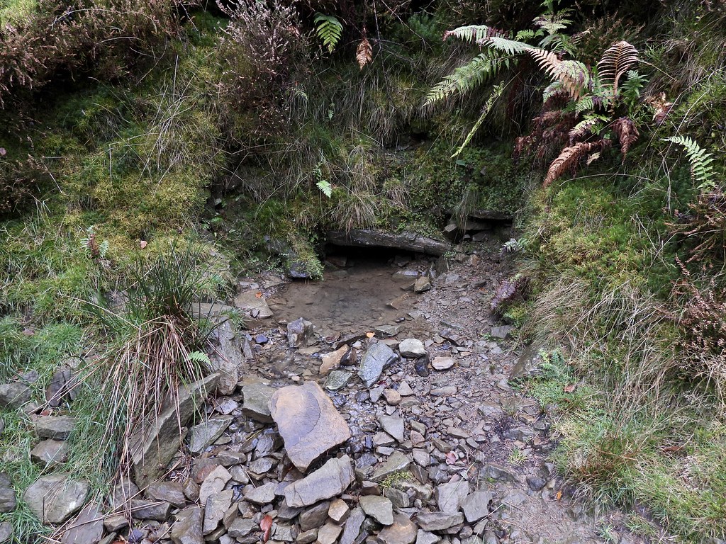 Quarry Spring, Blaen Bran, Upper Cwmbran 31 October 2022 Flickr