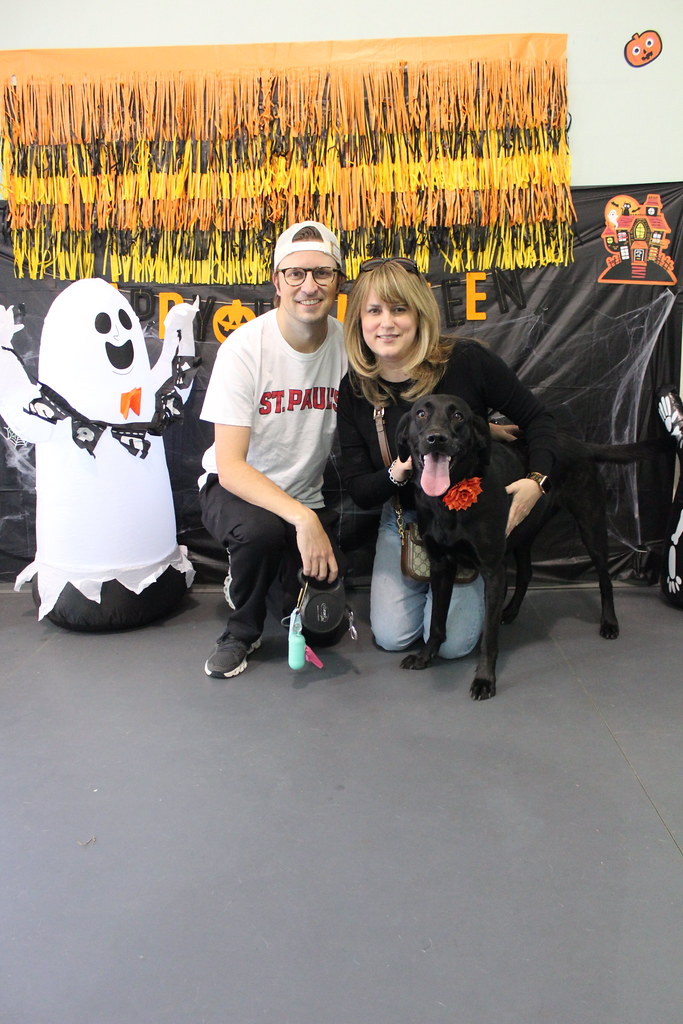 IMG_5033 Doggie Daycare Halloween Party 2022 Rover Oaks Pet Resort