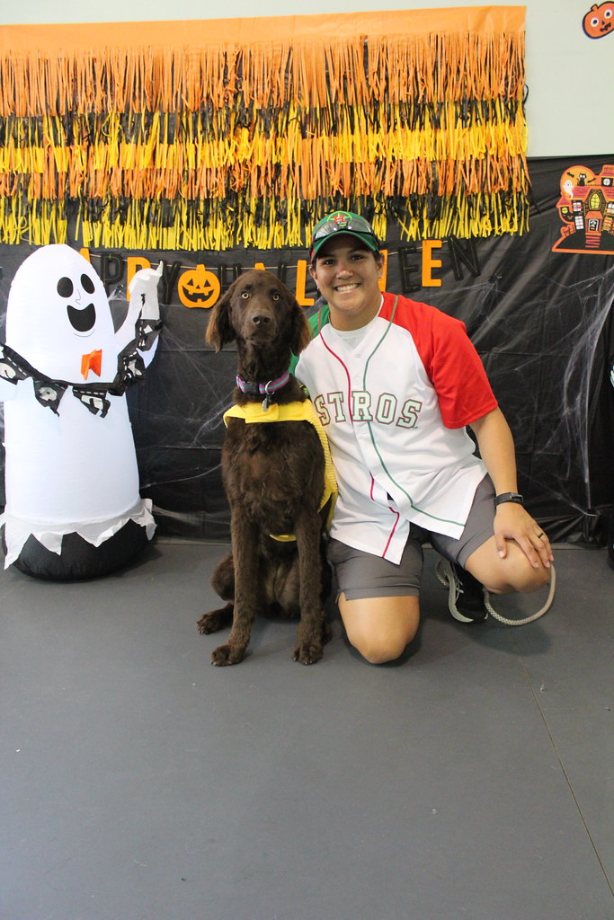 IMG_4813 Doggie Daycare Halloween Party 2022 Rover Oaks Pet Resort
