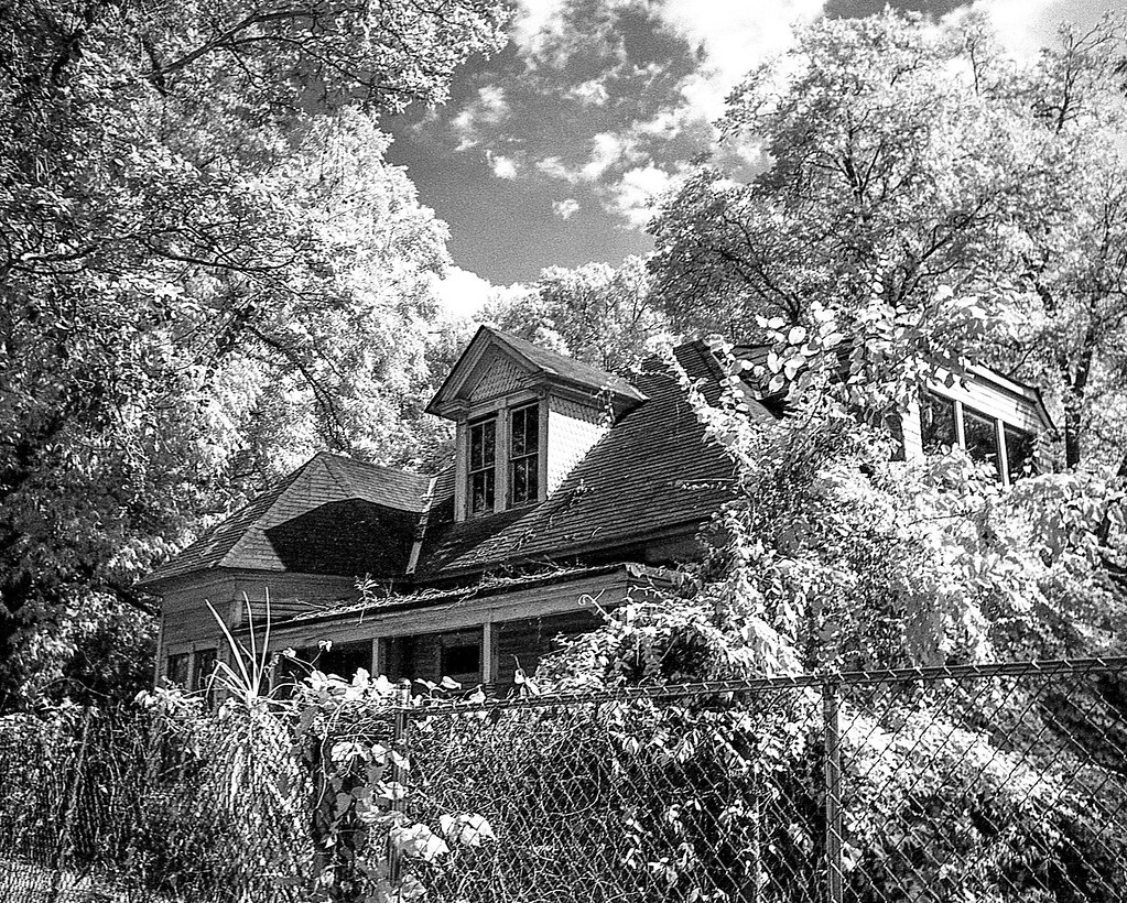 No Treats Here Griffin, Leica Standard (1938) with… Flickr