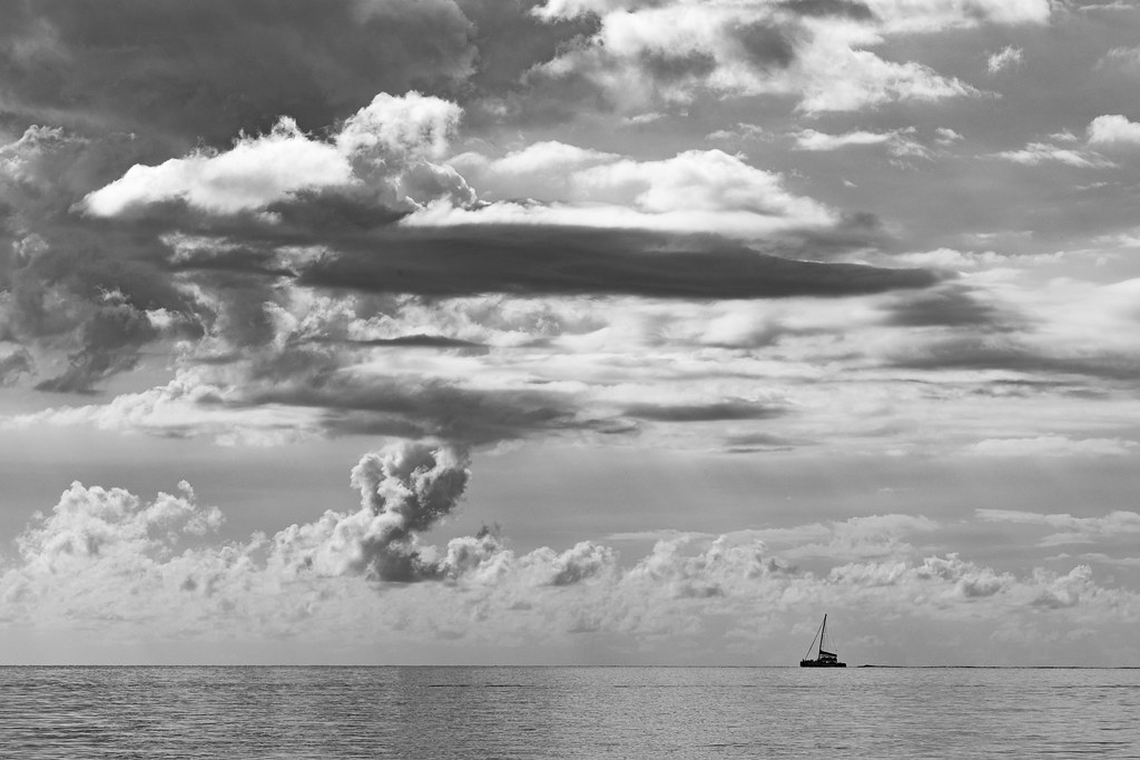 0E9A7818.jpg John McDonald Flickr