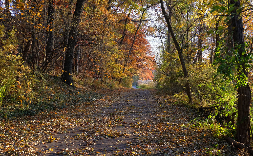 Beverly Shores autumn morning Looking down a street, drap… Flickr