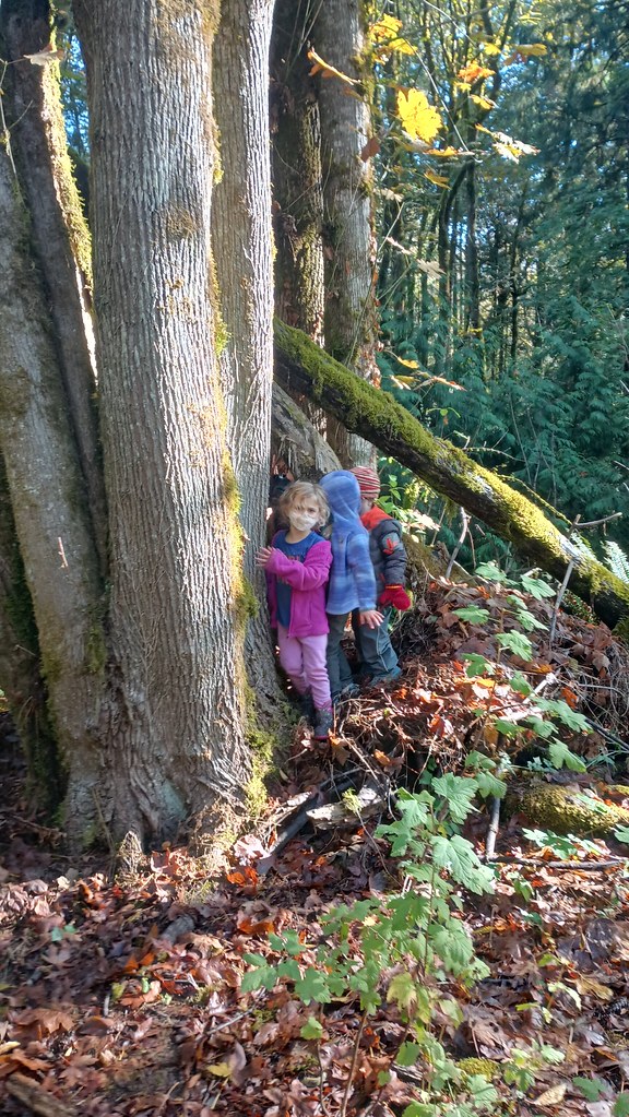 IMG_20221027_105420538_HDR Willow Creek Forest School Flickr