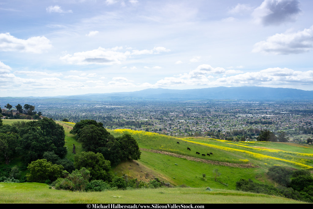 East Foothills East San Jose Foothills, San Jose, Silicon … Michael