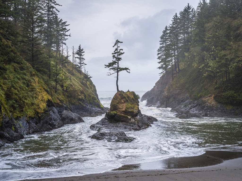 Dead Man's Cove Island Tree Cape Disappointment Washington Seascape