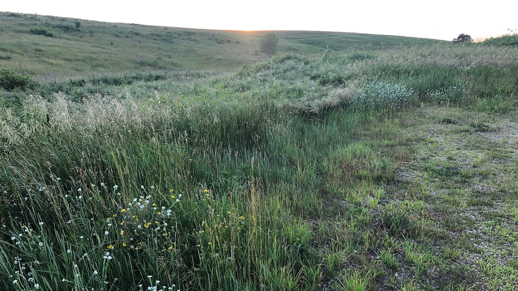Sunset in the Driftless Area Sunset at the Barneveld Prair… Flickr