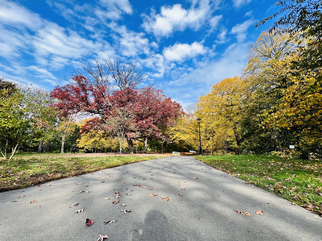 Prospect park, Brooklyn, New York, USA Prospect Park is an… Flickr