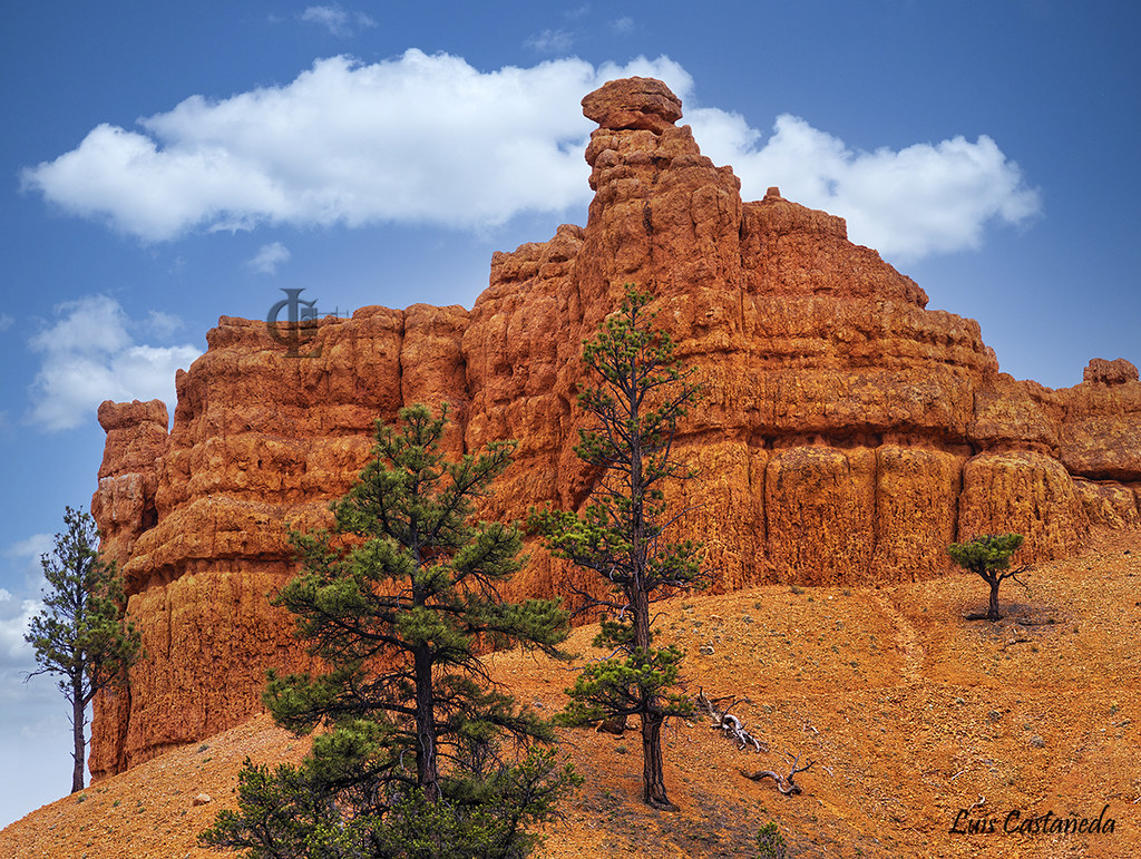 Red Canyon. Utah. USA. Red Canyon. Dixie National Forest. … Flickr