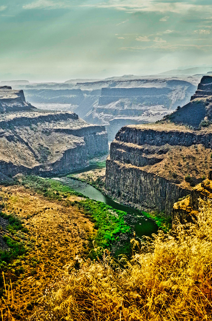 Palouse River, Franklin WA Please see my blog Champagnewi… Flickr