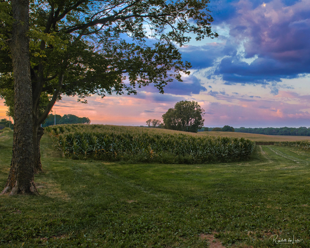 Nearing Harvest Time In Sangamon County, Illinois a photo on Flickriver