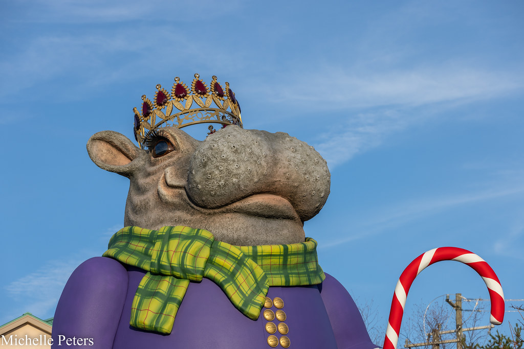 Zoo Fiona Nutcracker 202233 Michelle Peters Flickr