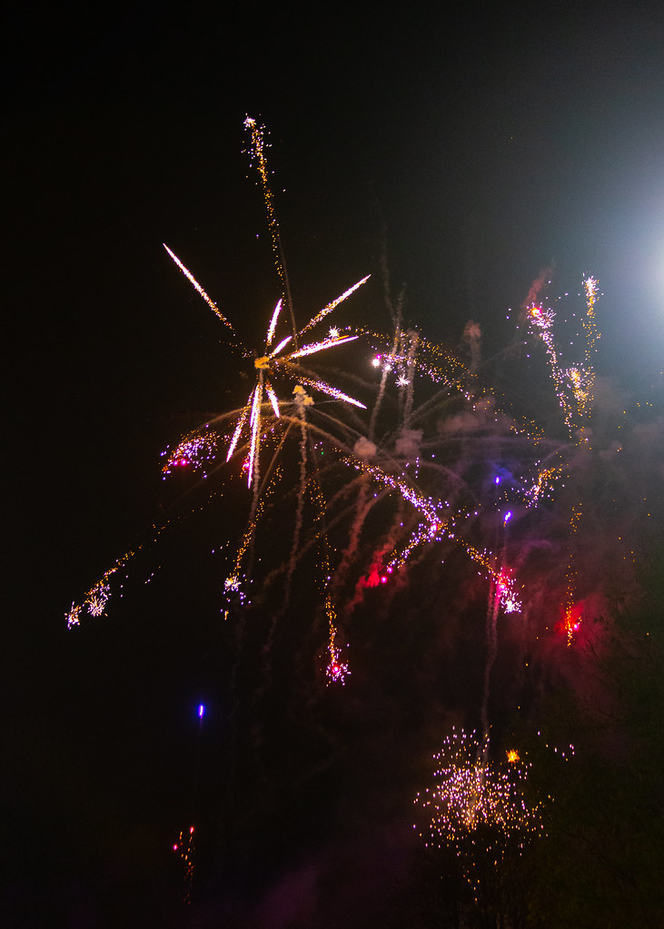Fireworks171 Essex Students Union Flickr