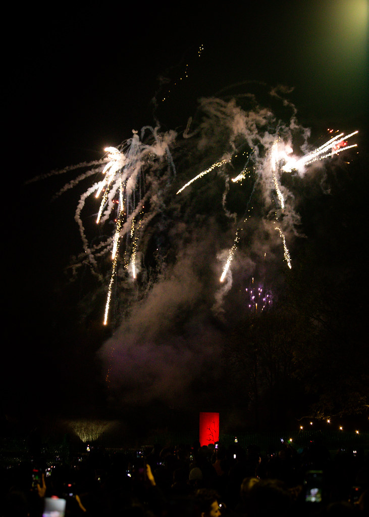 Fireworks160 Essex Students Union Flickr