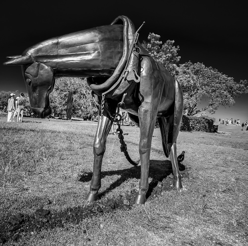 20221029_160142 Sculpture by the Sea 2022 (Bondi Beach, Sy… Flickr