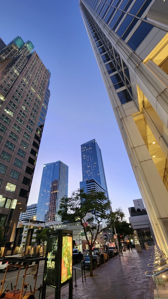 20221103_181351 Paul Wright Flickr