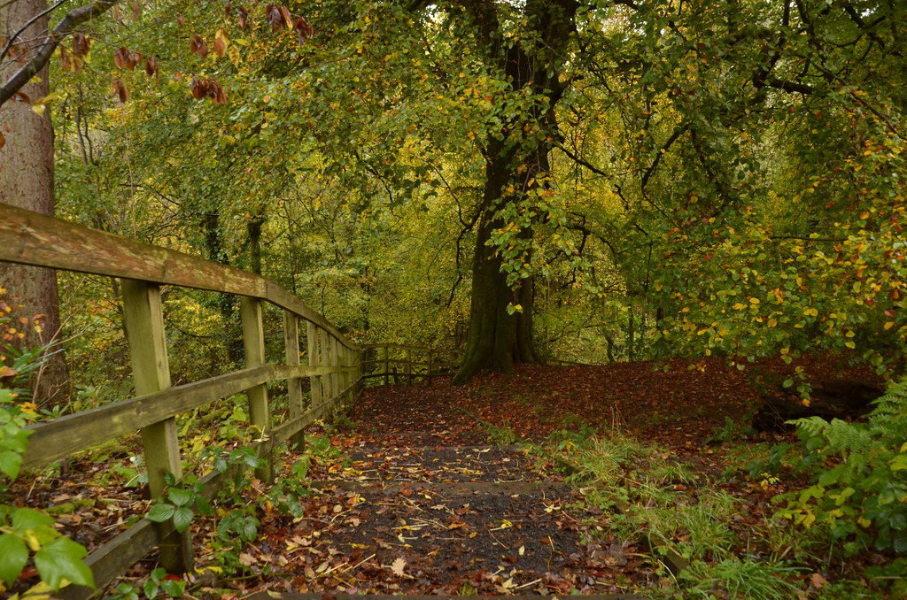 Path to the Calder Greenhall Park Blantyre James Brown Flickr