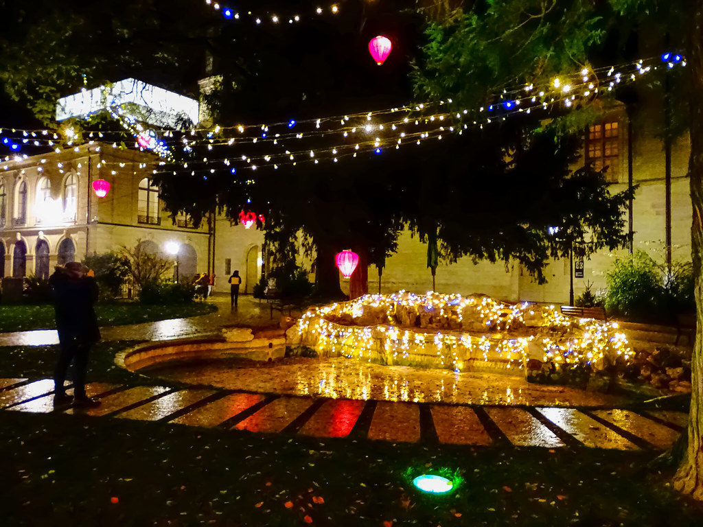 Jardin Darcy Garden Dijon Christmas Thomas Würth Flickr