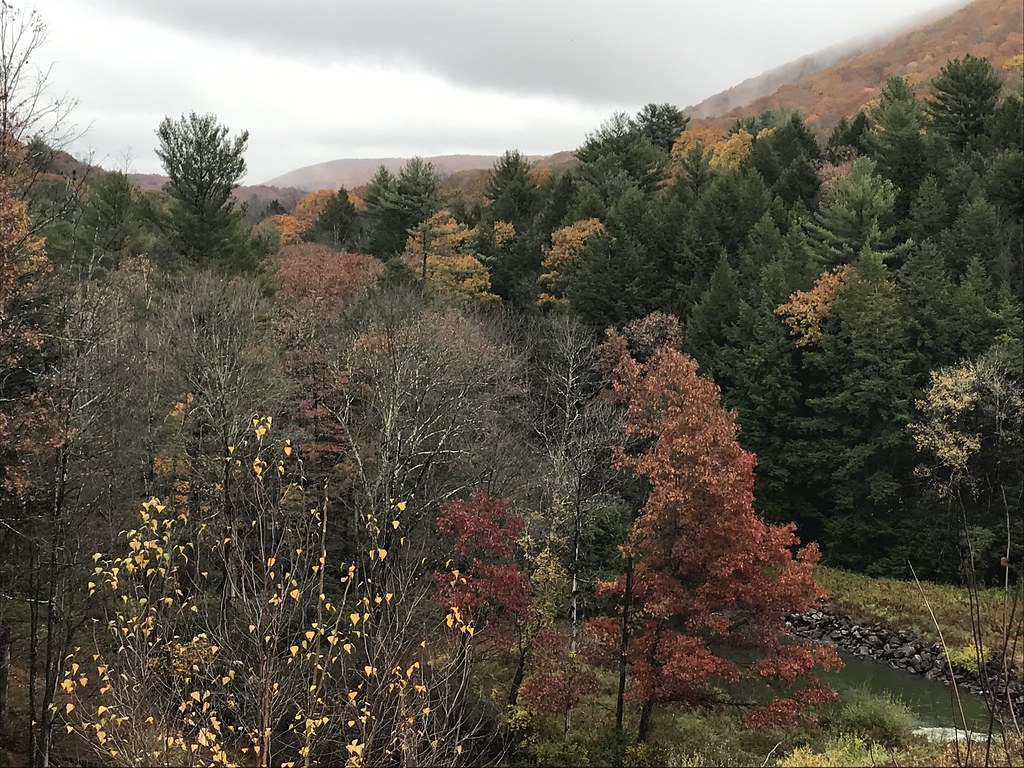 Tuscarora State Park, Schuylkill County, PA 10252022 (10… Flickr